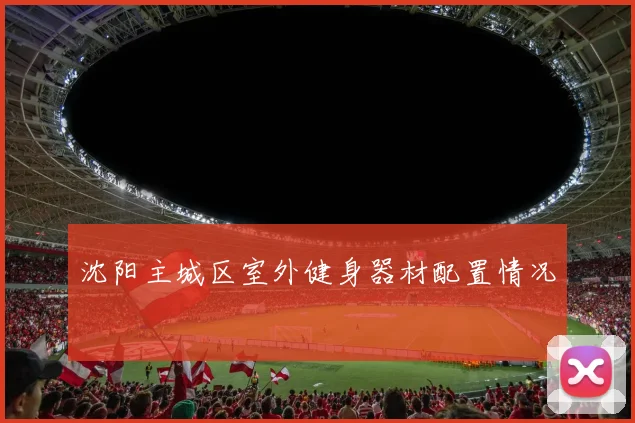 沈阳主城区室外健身器材配置情况