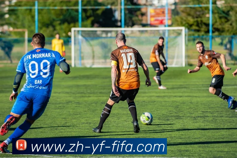 世界杯赛程平台生态图