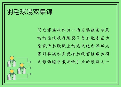 羽毛球混双集锦